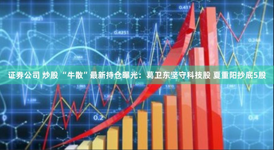 证券公司 炒股 “牛散”最新持仓曝光：葛卫东坚守科技股 夏重阳抄底5股