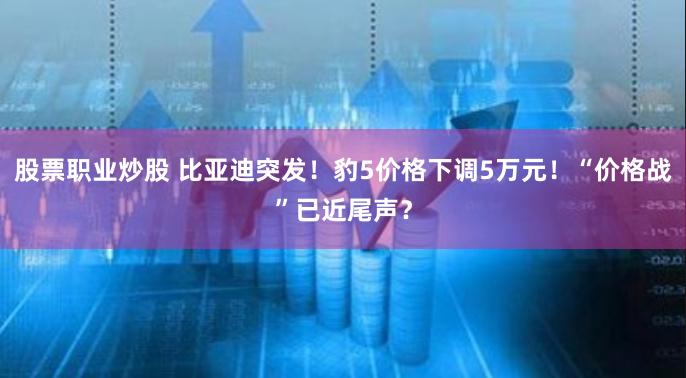 股票职业炒股 比亚迪突发！豹5价格下调5万元！“价格战”已近尾声？