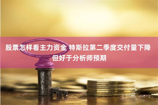 股票怎样看主力资金 特斯拉第二季度交付量下降 但好于分析师预期